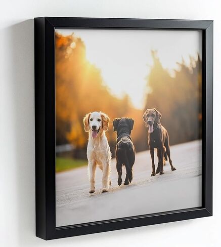 إطارات صور سوداء مقاس 33 × 6 - جاهزة للتعليق إطار ملصق من خشب الصنوبر الصلب - إطار صورة من الزجاج المصقول الأمامي من زجاج شبكي شفاف - تتضمن أدوات التعليق - ديكور جدار المنزل - 33 × 6 in Saudi Arabia