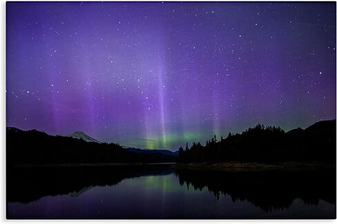 Stupell Industries Luminous Purple Northern Lights Canvas Wall Art, design by Nancy Crowell, 30 x 20 in Saudi Arabia