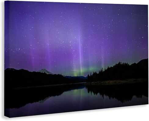 Stupell Industries Luminous Purple Northern Lights Canvas Wall Art, design by Nancy Crowell, 30 x 20 in Saudi Arabia