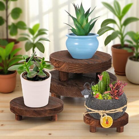4 Pcs Round Wood Risers Display Stands Wooden Risers for Table Display Mini Riser Stand Rustic Wooden Riser Holder Tiered Tray for Home Decor Kitchen Counter 4 Sizes Brown in Saudi Arabia