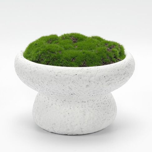 NAHARO New Moss Bowl,11''Handmade Cement Bowl–Artificial Moss Centerpiece for Home Decoration, Living Room, Office, or Coffee Table Display in Saudi Arabia