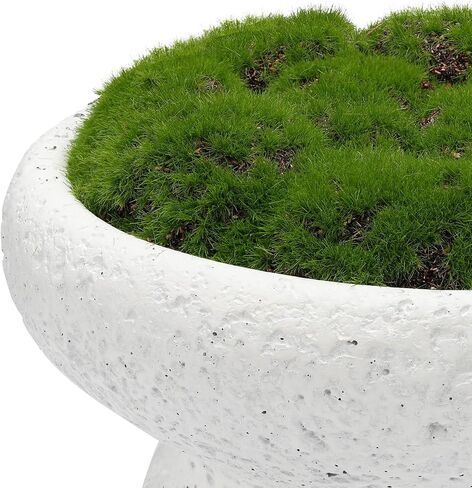 NAHARO New Moss Bowl,11''Handmade Cement Bowl–Artificial Moss Centerpiece for Home Decoration, Living Room, Office, or Coffee Table Display in Saudi Arabia