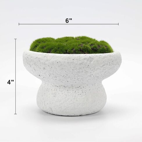NAHARO New Moss Bowl,11''Handmade Cement Bowl–Artificial Moss Centerpiece for Home Decoration, Living Room, Office, or Coffee Table Display in Saudi Arabia