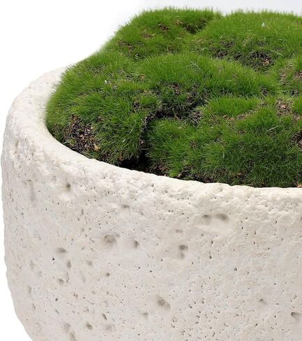 وعاء NAHARO New Moss Bowl، وعاء أسمنتي مصنوع يدويًا مقاس 11 بوصة - قطعة مركزية من الطحالب الاصطناعية لتزيين المنزل، أو غرفة المعيشة، أو المكتب، أو عرض طاولة القهوة in Kuwait