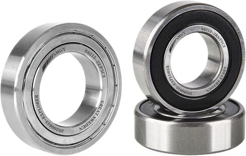 S6218-2Z/C3 S6219-2Z/C3 S6220-2Z/C3 S6218-2RS/C3 S6219-2RS/C3 S6220-2RS/C3 AMGT Stainless Steel deep Groove Ball Bearing(S6219-2Z-C3) in Saudi Arabia