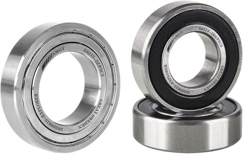 S6218-2Z/C3 S6219-2Z/C3 S6220-2Z/C3 S6218-2RS/C3 S6219-2RS/C3 S6220-2RS/C3 AMGT Stainless Steel deep Groove Ball Bearing(S6219-2Z-C3) in Saudi Arabia