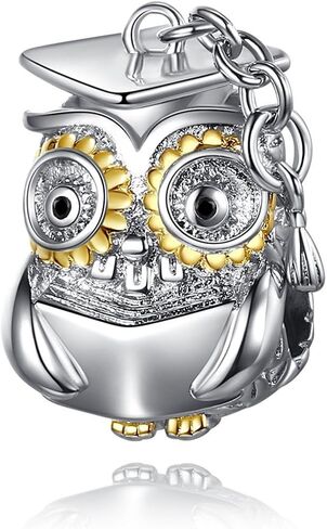 Mom Artist Painter Graduation Owl Cat Boat Sea Axoltl Birthday Love Heart Memorial Bead Pendant 925 Sterling Silver Dangle Compatible With Pandora Moments Charm Bracelet in Saudi Arabia