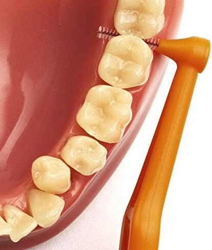 Interdental Brush Angle, Angled Dental Brush for Teeth Cleaning-Excellent Access Between Teeth Size -0.4 mm in Saudi Arabia