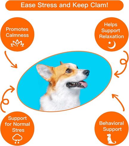 Puppy Toy Heartbeat Toy, Puppy Heartbeat Toy for Dog Anxiety Relief and Calming Aid, Heartbeat Stuffed Anima for Puppy Sleep Aid Crate Training Comfort, Puppy Essentials in Saudi Arabia