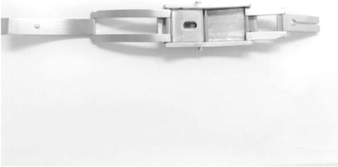 Ewatchparts Watch Band Bracelet Clasp Compatible With Omega Seamaster 1504.826, 2599.80 Watch 20mm in Saudi Arabia