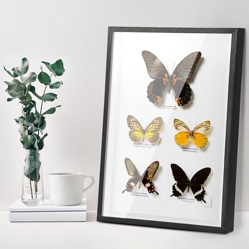 إطارات صور QWORK مقاس 11 × 14 بوصة، خشب MDF بواجهة أكريليك، عبوتان من صناديق الظل المربعة تعرض حافظات للصور والحرف اليدوية والتذكارات in Saudi Arabia