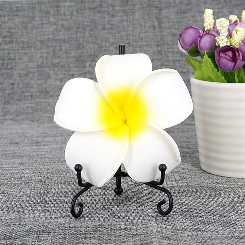 LIONWEI LIONWELI 4 Inch Black Iron Plate Stand Holder Easel Display Stand for Plate?Picture?Photo and More,4 pcs. in Kuwait