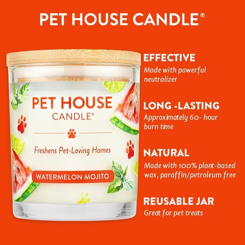 شمعة One Fur All Pet House - كراميل لاتيه - شمعة شمع نباتية 100% - مزيل رائحة الحيوانات الأليفة للمنزل - شموع معطرة غير سامة وصديقة للبيئة لتجديد الهواء in Kuwait