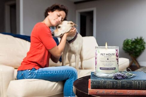 شمعة One Fur All Pet House - كراميل لاتيه - شمعة شمع نباتية 100% - مزيل رائحة الحيوانات الأليفة للمنزل - شموع معطرة غير سامة وصديقة للبيئة لتجديد الهواء in Kuwait