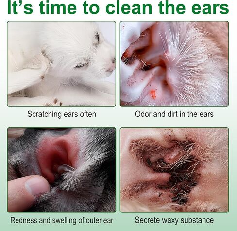 مناديل مبللة لأصابع الأذن للكلاب والقطط - 50 وسادة مناديل مبللة للأذن للاستعمال مرة واحدة، قابلة للتحلل البيولوجي، تزيل شمع الأذن والحطام وتهدئ وتزيل الروائح الكريهة وتخفف من حكة الأذن والالتهابات وتوقف اهتزاز رأس الكلب ومنظف الأذن in Kuwait