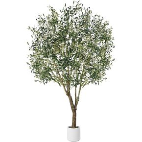 Olive Trees Artificial Indoor, 6FT Tall Faux Olive Tree with White Tall Planter, Artificial Plants with Natural Wood Trunk and Lifelike Fruits for Home Office Decor, 1 Pack in Kuwait