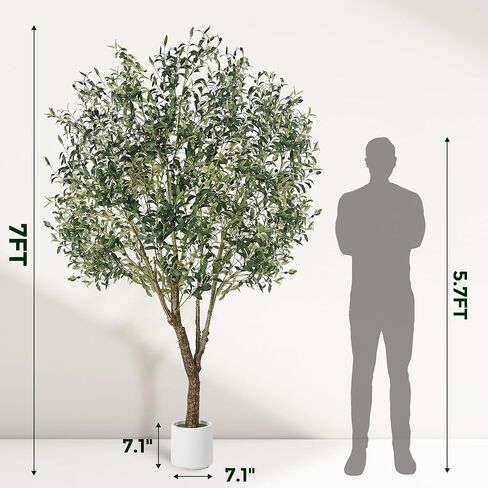 Olive Trees Artificial Indoor, 6FT Tall Faux Olive Tree with White Tall Planter, Artificial Plants with Natural Wood Trunk and Lifelike Fruits for Home Office Decor, 1 Pack in Kuwait