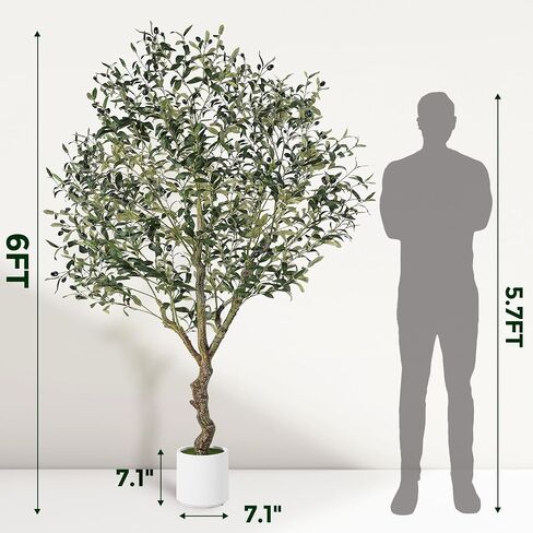 Olive Trees Artificial Indoor, 6FT Tall Faux Olive Tree with White Tall Planter, Artificial Plants with Natural Wood Trunk and Lifelike Fruits for Home Office Decor, 1 Pack in Kuwait