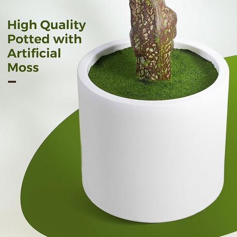 Olive Trees Artificial Indoor, 6FT Tall Faux Olive Tree with White Tall Planter, Artificial Plants with Natural Wood Trunk and Lifelike Fruits for Home Office Decor, 1 Pack in Kuwait