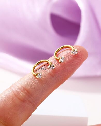 اليهودي 2PCS حدوة الحصان الشفاه الدائري 16G 316L الجراحية الصلب الشفاه ثقب المجوهرات مزدوجة مكعب زركونيا حدوة الحصان القرط داخليا الخيوط اللولب / دايث / الزنمة / الحاجز ثقب المجوهرات للنساء in Saudi Arabia