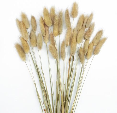Bunny Tails Dried Flowers 120 Stems, 17“ Dried Lagurus Natural Rabbit Tail Grass Bunch for Vase Fillers, Wedding, DIY Crafts, Rustic Farmhouse Décor in Saudi Arabia