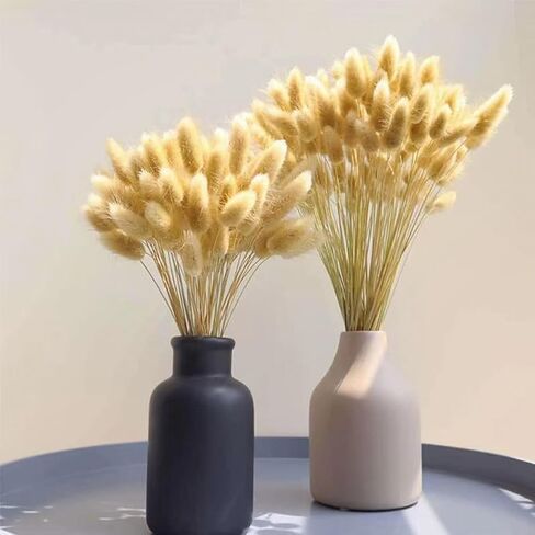 Bunny Tails Dried Flowers 120 Stems, 17“ Dried Lagurus Natural Rabbit Tail Grass Bunch for Vase Fillers, Wedding, DIY Crafts, Rustic Farmhouse Décor in Saudi Arabia