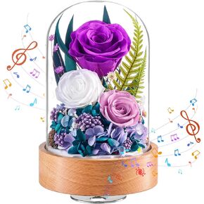 زهور فور إيفر للتسليم، هدايا الورود المحفوظة للنساء - هدايا عيد ميلاد للأم والزوجة والجدة، صندوق موسيقى مع قاعدة خشبية دوارة لعيد الميلاد في عيد الحب (أحمر، أسطواني) in Kuwait