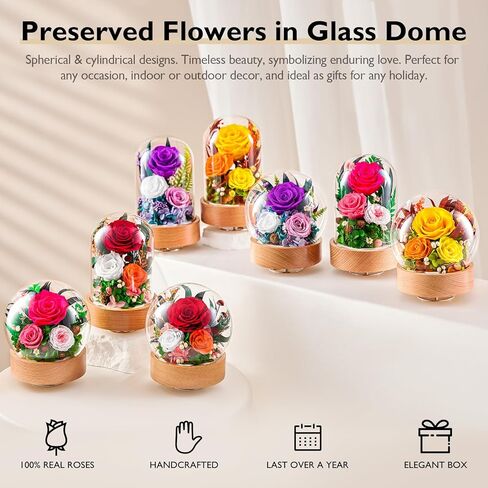 زهور فور إيفر للتسليم، هدايا الورود المحفوظة للنساء - هدايا عيد ميلاد للأم والزوجة والجدة، صندوق موسيقى مع قاعدة خشبية دوارة لعيد الميلاد في عيد الحب (أحمر، أسطواني) in Kuwait