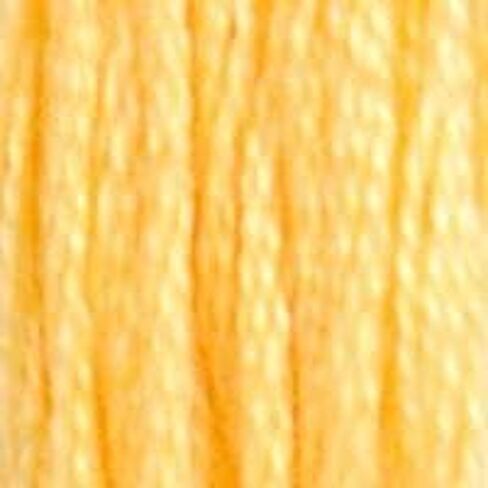 DMC 6-Strand Embroidery Cotton 8.7yd - Medium Light Autumn Gold in Saudi Arabia