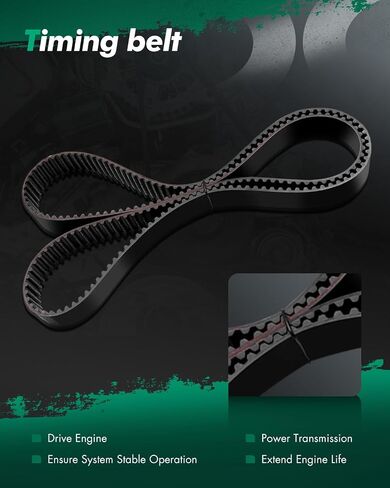 SCITOO TS26298 Engine Timing Belt Kit Fits for 01-07 for Lexus GS430 03-09 for Lexus GX470 01-06 for Lexus LS430 98-07 for Lexus LX470 02-10 for Lexus SC430 00-09 for Toyota Tundra in Saudi Arabia