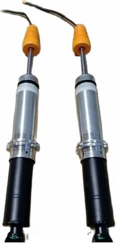 Front Rear Shock Absorber Compatible For Ferrari F12 Berlinetta OEM 301449,280588,286346(Rear shock absorbers) in Saudi Arabia