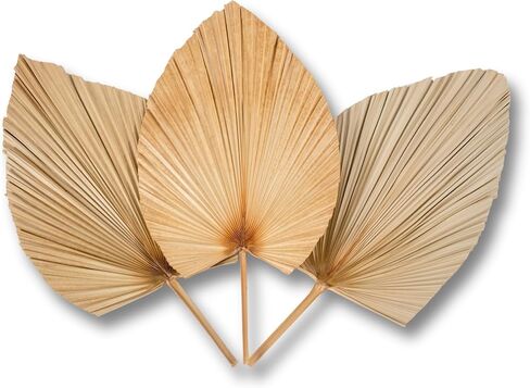 3Pcs 28" Large Natural Trimmed Palm Leaves Dried Palms Leaves Fans Boho Wedding Decor Kitchen Table Dried Flowers Pampas Grass Decoration Dried Pampas Grass Decor Leave Fan with Stem Tropical Palm in Saudi Arabia