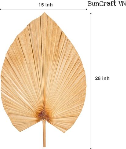 3Pcs 28" Large Natural Trimmed Palm Leaves Dried Palms Leaves Fans Boho Wedding Decor Kitchen Table Dried Flowers Pampas Grass Decoration Dried Pampas Grass Decor Leave Fan with Stem Tropical Palm in Saudi Arabia