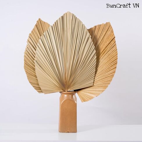 3Pcs 28" Large Natural Trimmed Palm Leaves Dried Palms Leaves Fans Boho Wedding Decor Kitchen Table Dried Flowers Pampas Grass Decoration Dried Pampas Grass Decor Leave Fan with Stem Tropical Palm in Saudi Arabia