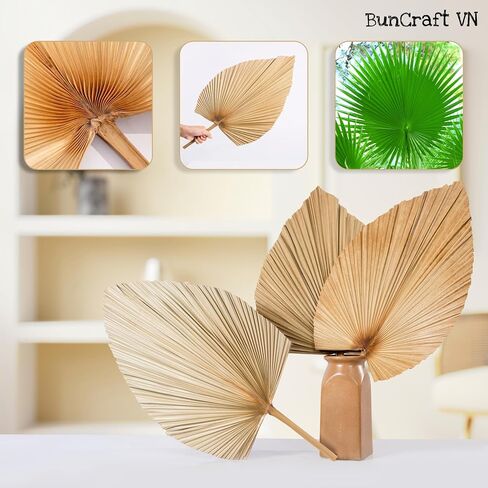 3Pcs 28" Large Natural Trimmed Palm Leaves Dried Palms Leaves Fans Boho Wedding Decor Kitchen Table Dried Flowers Pampas Grass Decoration Dried Pampas Grass Decor Leave Fan with Stem Tropical Palm in Saudi Arabia