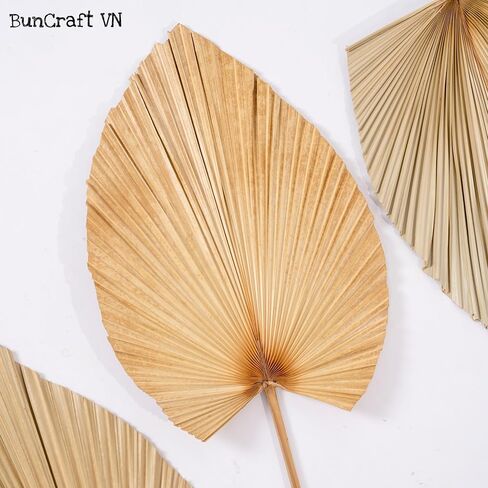 3Pcs 28" Large Natural Trimmed Palm Leaves Dried Palms Leaves Fans Boho Wedding Decor Kitchen Table Dried Flowers Pampas Grass Decoration Dried Pampas Grass Decor Leave Fan with Stem Tropical Palm in Saudi Arabia