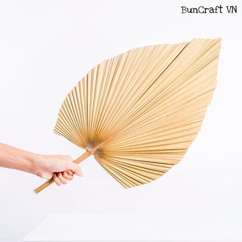 3Pcs 28" Large Natural Trimmed Palm Leaves Dried Palms Leaves Fans Boho Wedding Decor Kitchen Table Dried Flowers Pampas Grass Decoration Dried Pampas Grass Decor Leave Fan with Stem Tropical Palm in Saudi Arabia