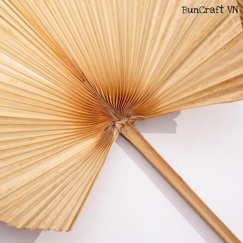 3Pcs 28" Large Natural Trimmed Palm Leaves Dried Palms Leaves Fans Boho Wedding Decor Kitchen Table Dried Flowers Pampas Grass Decoration Dried Pampas Grass Decor Leave Fan with Stem Tropical Palm in Saudi Arabia