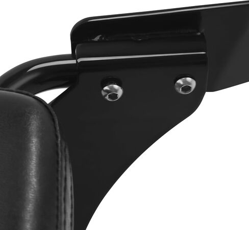 Green-L Rear Passenger Sissy Bar Backrest with Luggage Rack Fit for Harley Breakout FXSB FXSBSE 2013-2017 in Saudi Arabia