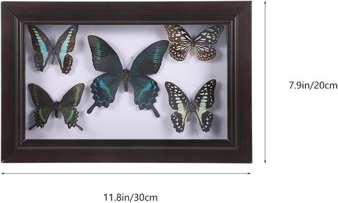 Home Decor Wooden Shadow Box with Butterfly Butterfly Specimen Display Box Framed Wall Art Decoration for Bedroom Living Room Picture Frames in Saudi Arabia