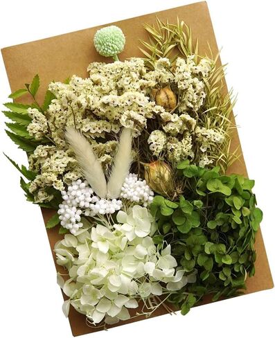 Dried Real Flowers Preserved Materials Epoxy Resin Candles DIY Floral Materials Hydrangea Set Flowers (Color 1) in Saudi Arabia