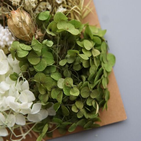 Dried Real Flowers Preserved Materials Epoxy Resin Candles DIY Floral Materials Hydrangea Set Flowers (Color 1) in Saudi Arabia