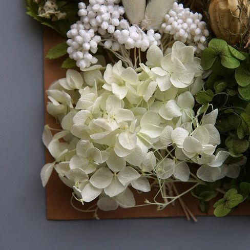 Dried Real Flowers Preserved Materials Epoxy Resin Candles DIY Floral Materials Hydrangea Set Flowers (Color 1) in Saudi Arabia