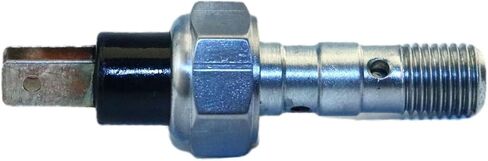 4012981 4012399 مستشعر ضغط الفرامل مستشعر الفرامل (Short4012399) in Kuwait