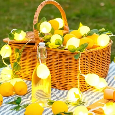 2 قطعة Sukkot 3D Etrog LED سلسلة أضواء تعمل بالبطارية سلسلة ضوء 19.68ft 40leds Etrog مصابيح كهربائية مع فروع أوراق أضواء خرافية Sukkot ديكورات لزينة حفلات حديقة Sukkah in Kuwait