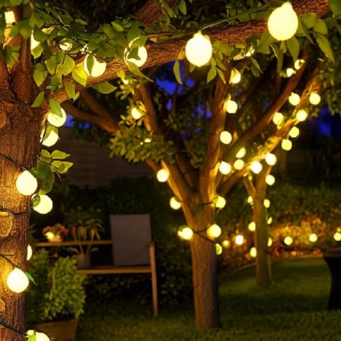 2 قطعة Sukkot 3D Etrog LED سلسلة أضواء تعمل بالبطارية سلسلة ضوء 19.68ft 40leds Etrog مصابيح كهربائية مع فروع أوراق أضواء خرافية Sukkot ديكورات لزينة حفلات حديقة Sukkah in Kuwait