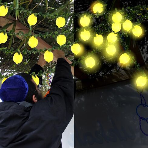2 قطعة Sukkot 3D Etrog LED سلسلة أضواء تعمل بالبطارية سلسلة ضوء 19.68ft 40leds Etrog مصابيح كهربائية مع فروع أوراق أضواء خرافية Sukkot ديكورات لزينة حفلات حديقة Sukkah in Kuwait