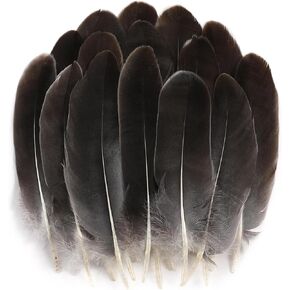 Holmgren Mardi Gras Craft Feathers Bulk - 200pcs 5-6inch Big Goose Feathers for Mardi Gras Decoration Carnival Masquerade Party Costume Decoration (Mardi Gras)
