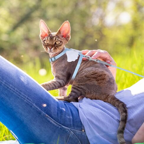 TIESOME Cat Harness and Leash Set, Adjustable Gradient Kitten Harness Escape Proof Harness with Leash for Kitty Outdoor Walking (Gradient Purple) in Saudi Arabia