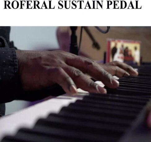 Sustain Pedal for Keyboard - ROFERAL Piano Foot Pedal with Polarity Switch for All Brands Electronic Keyboards, 1/4"(6.35mm) With 63-inch Cable Input Plug in Saudi Arabia